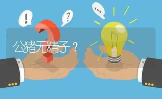 公猪无精子? | 养殖问题解答