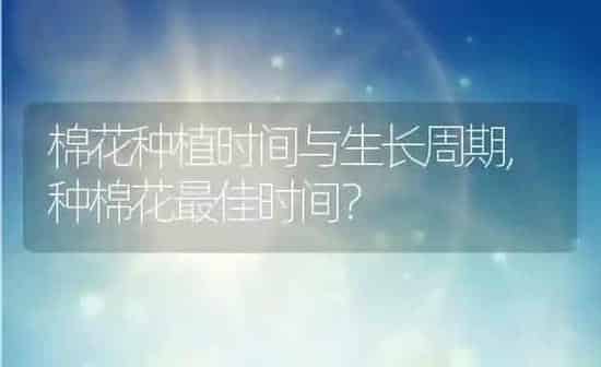 棉花种植时间与生长周期,种棉花最佳时间？ | 养殖常见问题