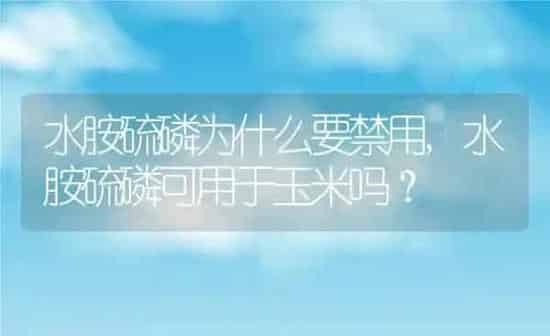 水胺硫磷为什么要禁用,水胺硫磷可用于玉米吗？ | 养殖常见问题