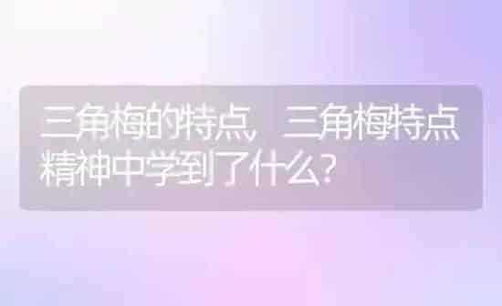 三角梅的特点,三角梅特点精神中学到了什么？ | 养殖常见问题