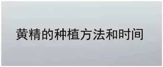 黄精的种植方法和时间 | 三农问答