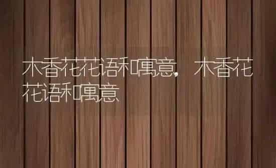 木香花花语和寓意,木香花花语和寓意 | 养殖常见问题