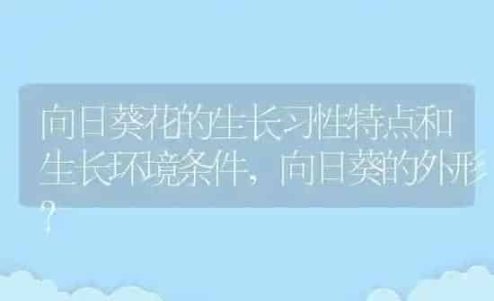 向日葵花的生长习性特点和生长环境条件,向日葵的外形？ | 养殖常见问题