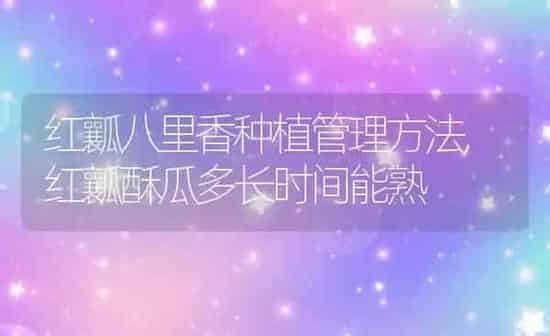 瓜栗怎么养用什么方法,瓜栗的养殖方法和注意事项 | 养殖常见问题