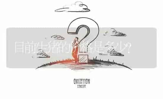 目前生猪的价格是多少? | 养殖问题解答