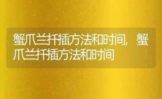 蟹爪兰扦插方法和时间,蟹爪兰扦插方法和时间 | 养殖常见问题