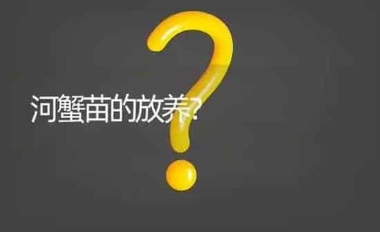 河蟹苗的放养? | 养殖问题解答