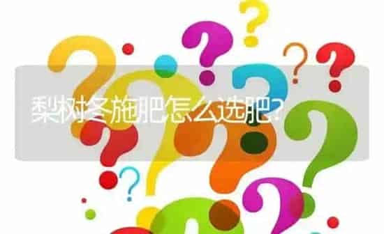 梨树冬施肥怎么选肥? | 养殖问题解答