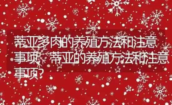蒂亚多肉的养殖方法和注意事项,蒂亚的养殖方法和注意事项？ | 养殖常见问题
