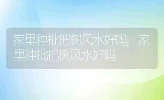 家里种枇杷树风水好吗,家里种枇杷树风水好吗 | 养殖常见问题