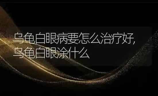乌龟白眼病要怎么治疗好,乌龟白眼涂什么 | 养殖常见问题