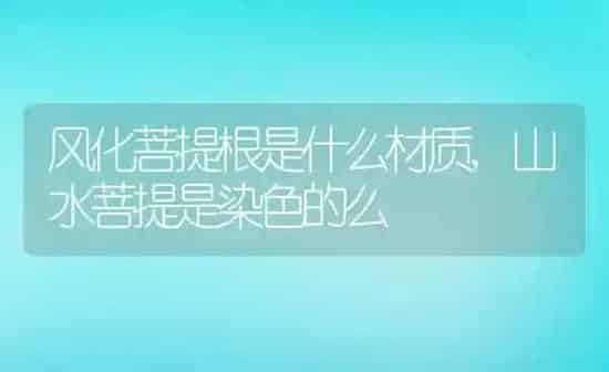 风化菩提根是什么材质,山水菩提是染色的么 | 养殖常见问题