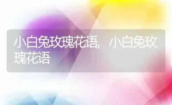 人参果怎么吃,人参果怎么吃 | 养殖常见问题