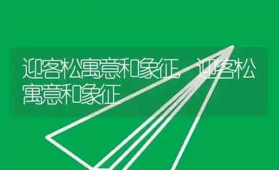 迎客松寓意和象征,迎客松寓意和象征 | 养殖常见问题