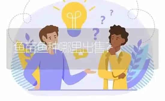 鱼苗鱼种哪里出售? | 养殖问题解答