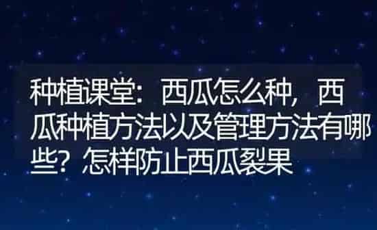 种植课堂:西瓜怎么种,西瓜种植方法以及管理方法有哪些？怎样防止西瓜裂果 | 养殖常见问题