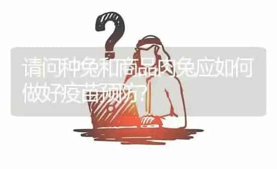 请问种兔和商品肉兔应如何做好疫苗预防? | 养殖问题解答