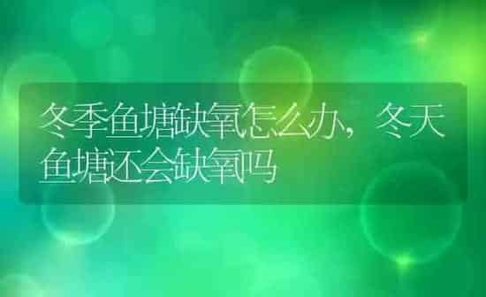 冬季鱼塘缺氧怎么办,冬天鱼塘还会缺氧吗 | 养殖常见问题