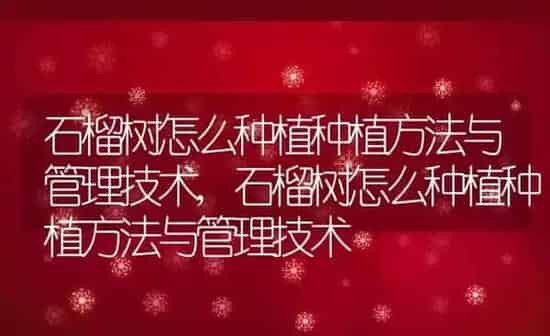 石榴树怎么种植种植方法与管理技术,石榴树怎么种植种植方法与管理技术 | 养殖常见问题