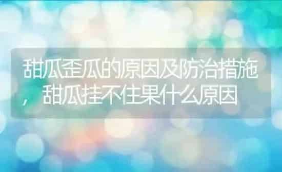 甜瓜歪瓜的原因及防治措施,甜瓜挂不住果什么原因 | 养殖常见问题