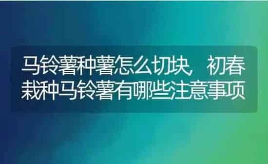 马铃薯种薯怎么切块,初春栽种马铃薯有哪些注意事项 | 养殖常见问题