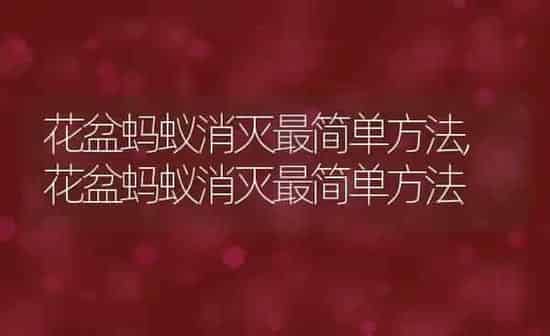 花盆蚂蚁消灭最简单方法,花盆蚂蚁消灭最简单方法 | 养殖常见问题