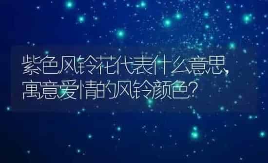 紫色风铃花代表什么意思,寓意爱情的风铃颜色？ | 养殖常见问题