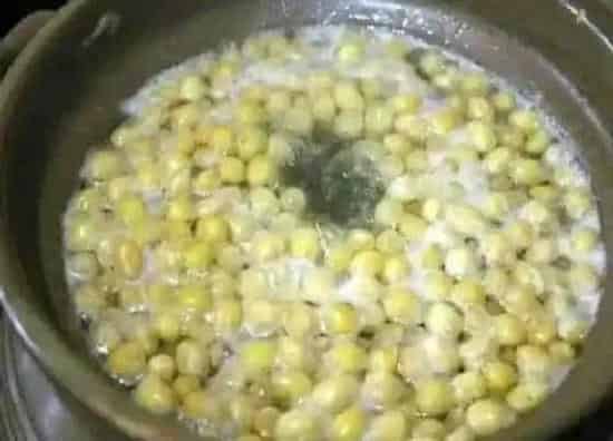 植物常识问题|如何用黄豆制作肥水肥力暴增