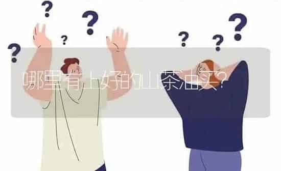 哪里有上好的山茶油买? | 养殖问题解答