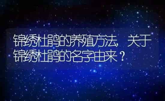 锦绣杜鹃的养殖方法,关于锦绣杜鹃的名字由来？ | 养殖常见问题