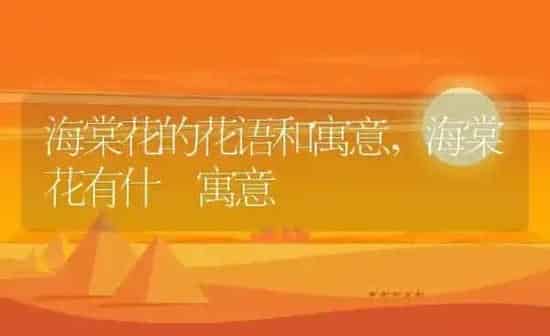 海棠花的花语和寓意,海棠花有什麼寓意 | 养殖常见问题