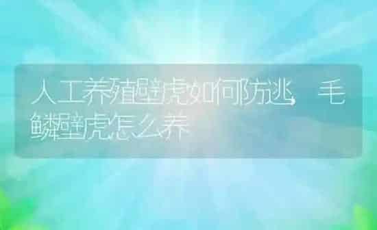 人工养殖壁虎如何防逃,毛鳞壁虎怎么养 | 养殖常见问题