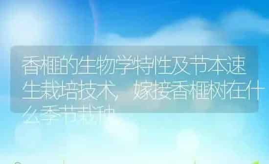 香榧的生物学特性及节本速生栽培技术,嫁接香榧树在什么季节栽种 | 养殖常见问题