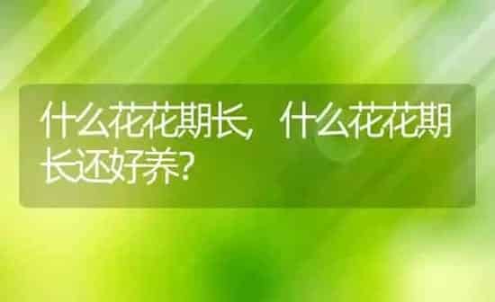 什么花花期长,什么花花期长还好养? | 养殖常见问题