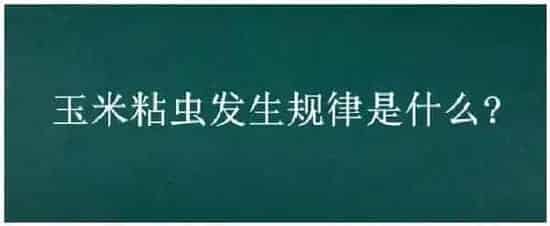 玉米粘虫发生规律是什么? | 三农答疑