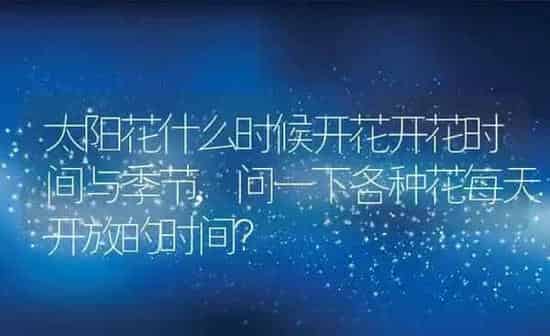 太阳花什么时候开花开花时间与季节,问一下各种花每天开放的时间？ | 养殖常见问题