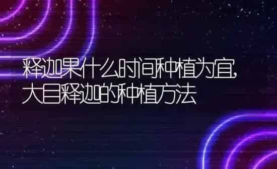释迦果什么时间种植为宜,大目释迦的种植方法 | 养殖常见问题