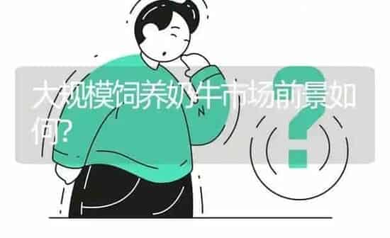 大规模饲养奶牛市场前景如何? | 养殖问题解答
