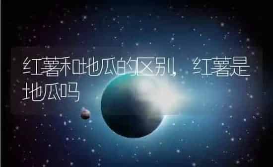 红薯和地瓜的区别,红薯是地瓜吗 | 养殖常见问题
