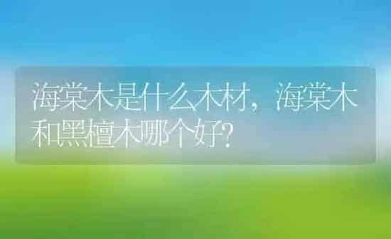 海棠木是什么木材,海棠木和黑檀木哪个好？ | 养殖常见问题