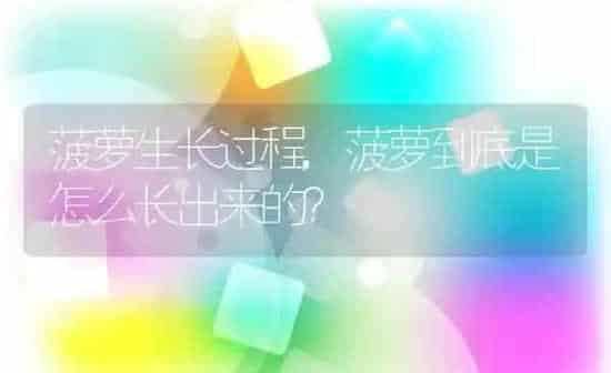 菠萝生长过程,菠萝到底是怎么长出来的？ | 养殖常见问题