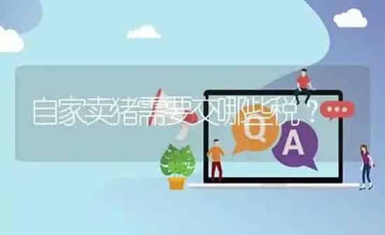 自家卖猪需要交哪些税? | 养殖问题解答