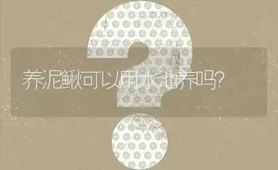 养泥鳅可以用水池养吗? | 养殖问题解答