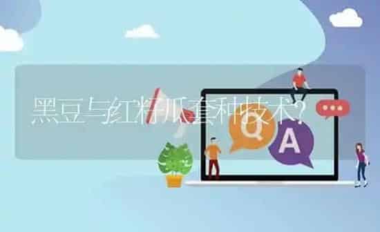 黑豆与红籽瓜套种技术? | 养殖问题解答