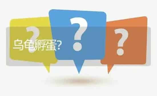 乌龟孵蛋? | 养殖问题解答