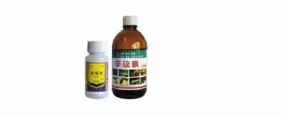 辛硫磷怎么灌根 | 科普知识
