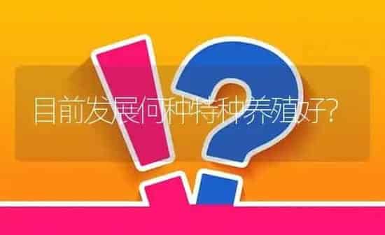 目前发展何种特种养殖好? | 养殖问题解答