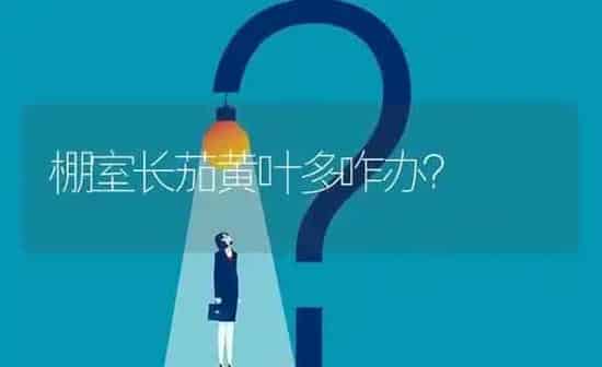 棚室长茄黄叶多咋办? | 养殖问题解答