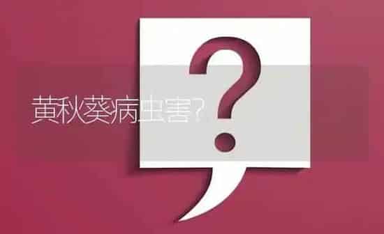 黄秋葵病虫害? | 养殖问题解答