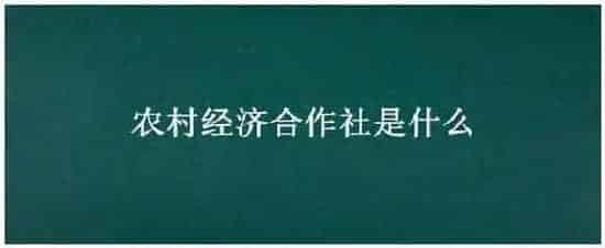 农村经济合作社是什么 | 农业问题